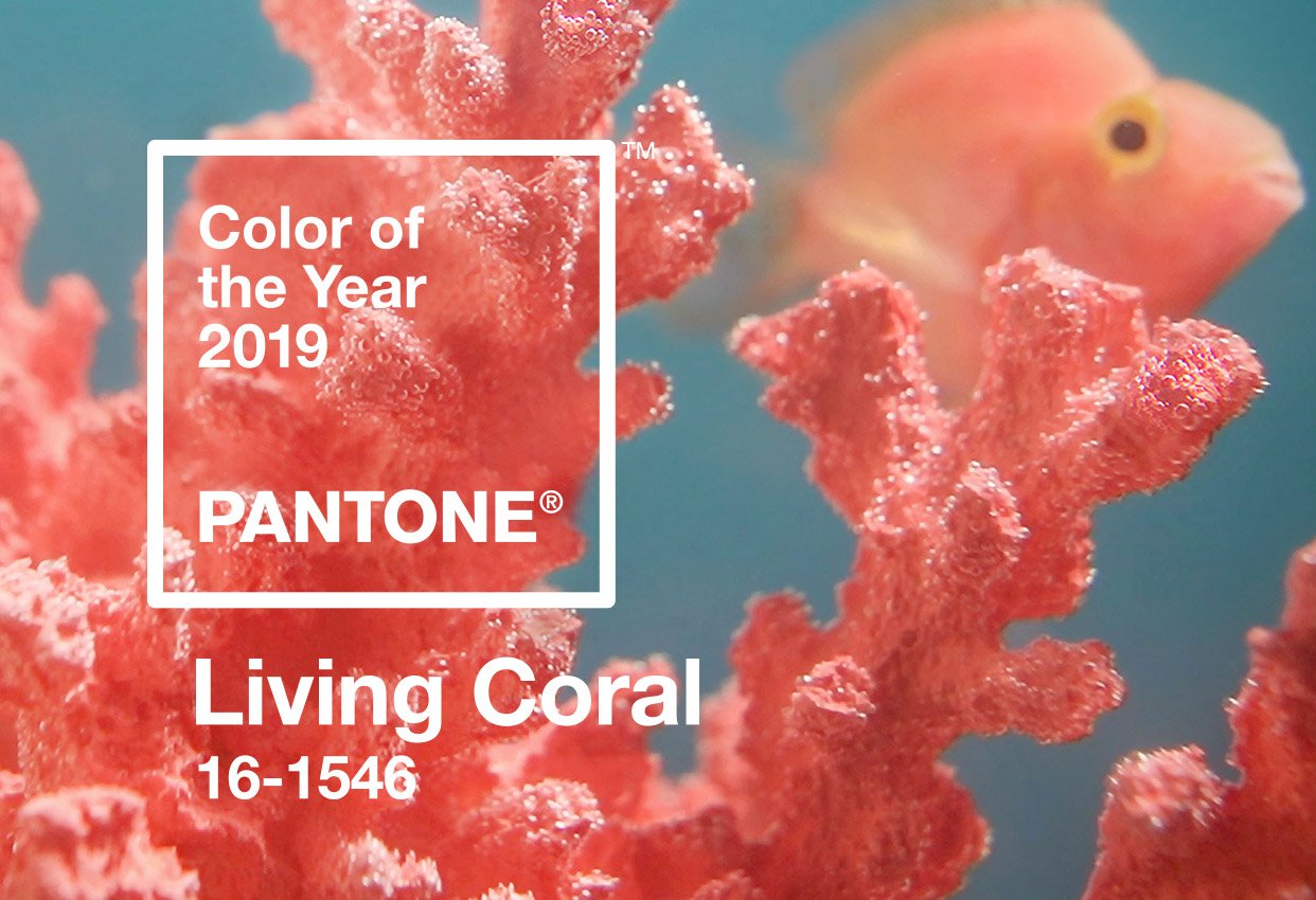 Pantone revela a cor de 2019: Living Coral